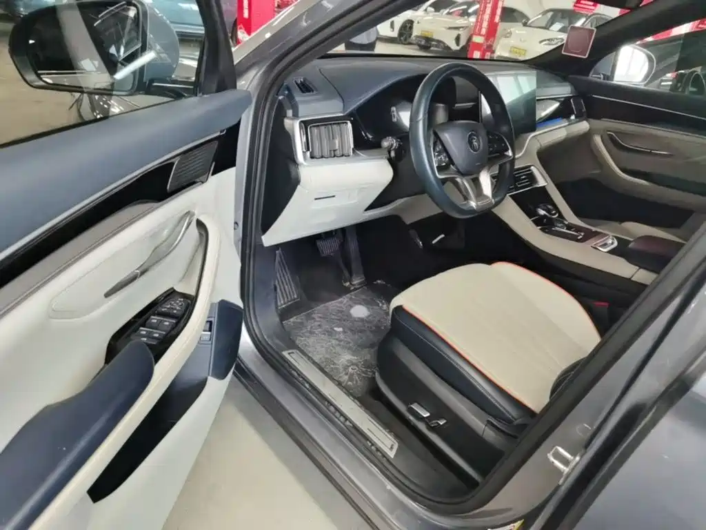 BYD PLUS New Energy — миниатюра 16