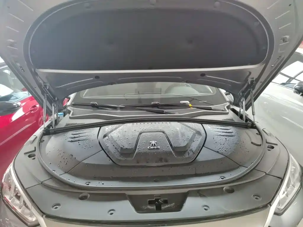 BYD PLUS New Energy — миниатюра 20