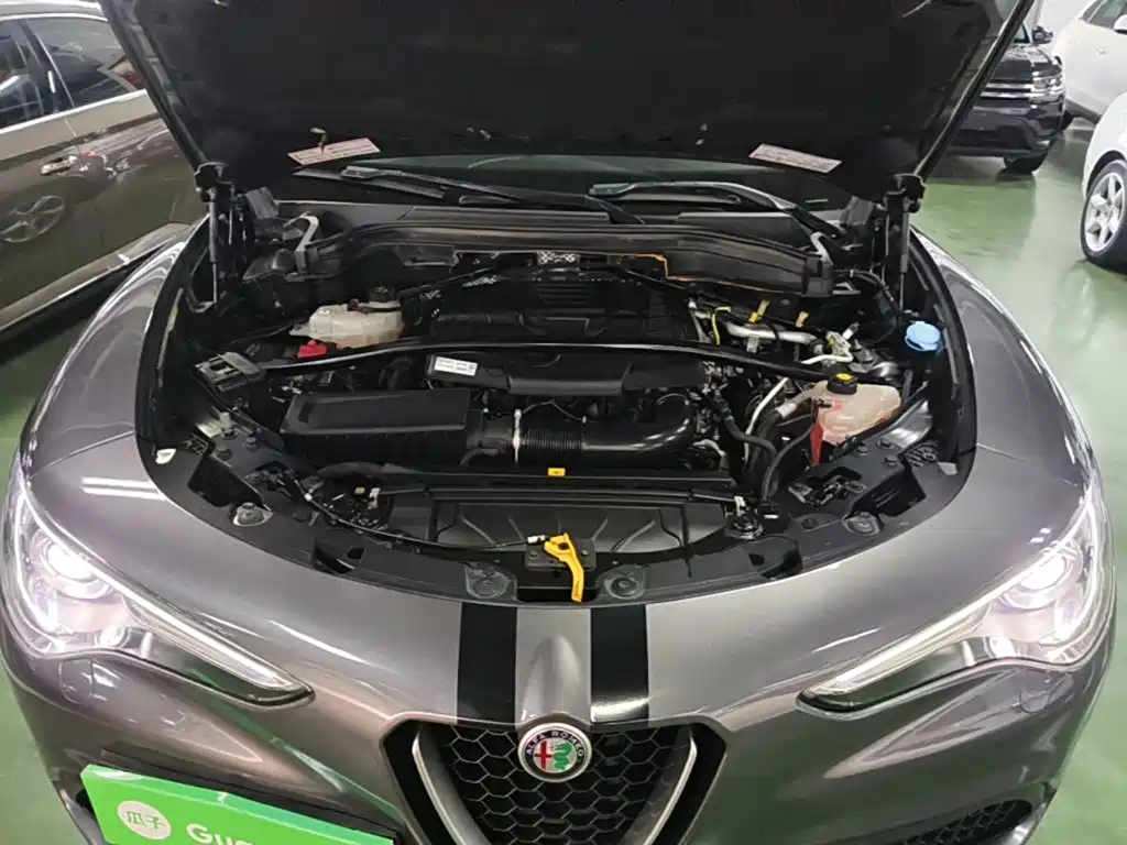 Alfa Romeo Stelvio — миниатюра 20