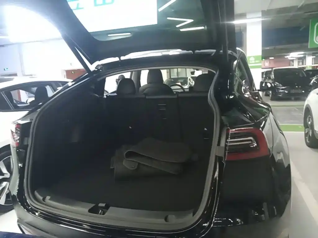 Tesla Model Y — миниатюра 19