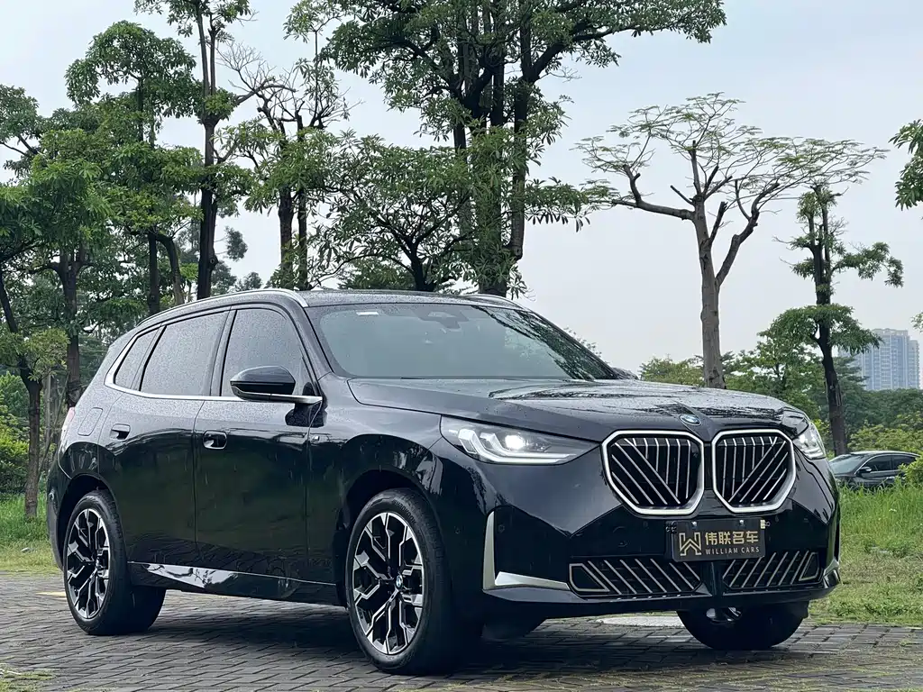 BMW X3 — миниатюра 3
