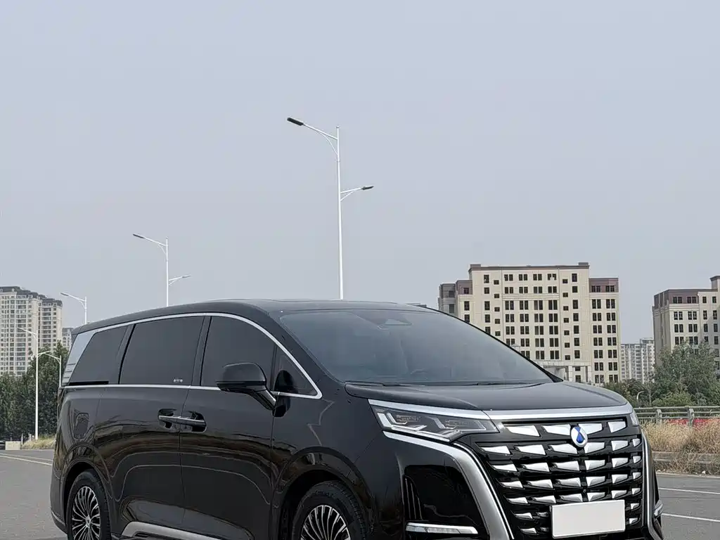 Denza Denza D9 — миниатюра 3
