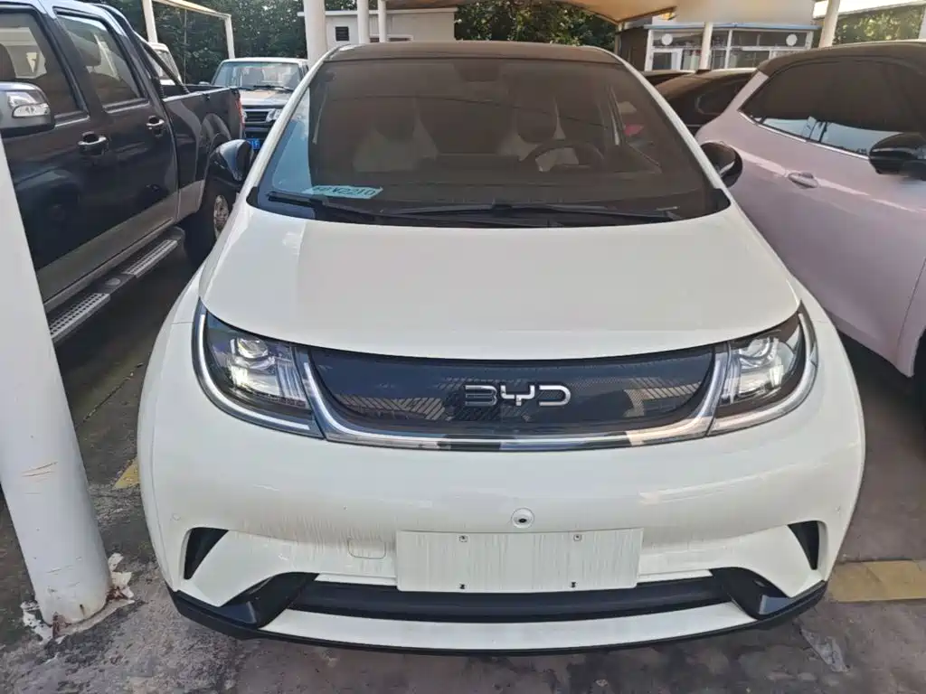 BYD Dolphin — миниатюра 3