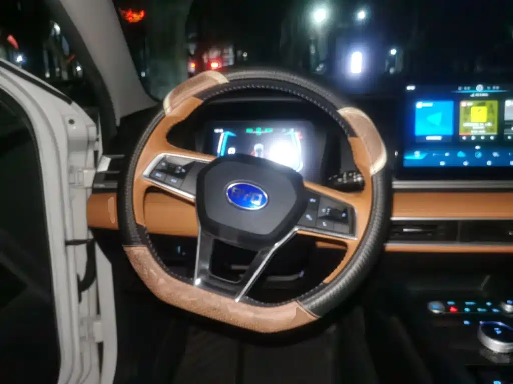 BYD e2 — миниатюра 11