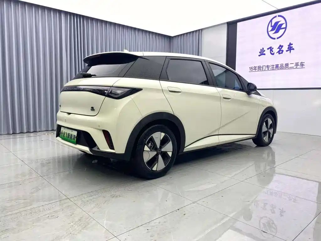 BYD Dolphin — миниатюра 4