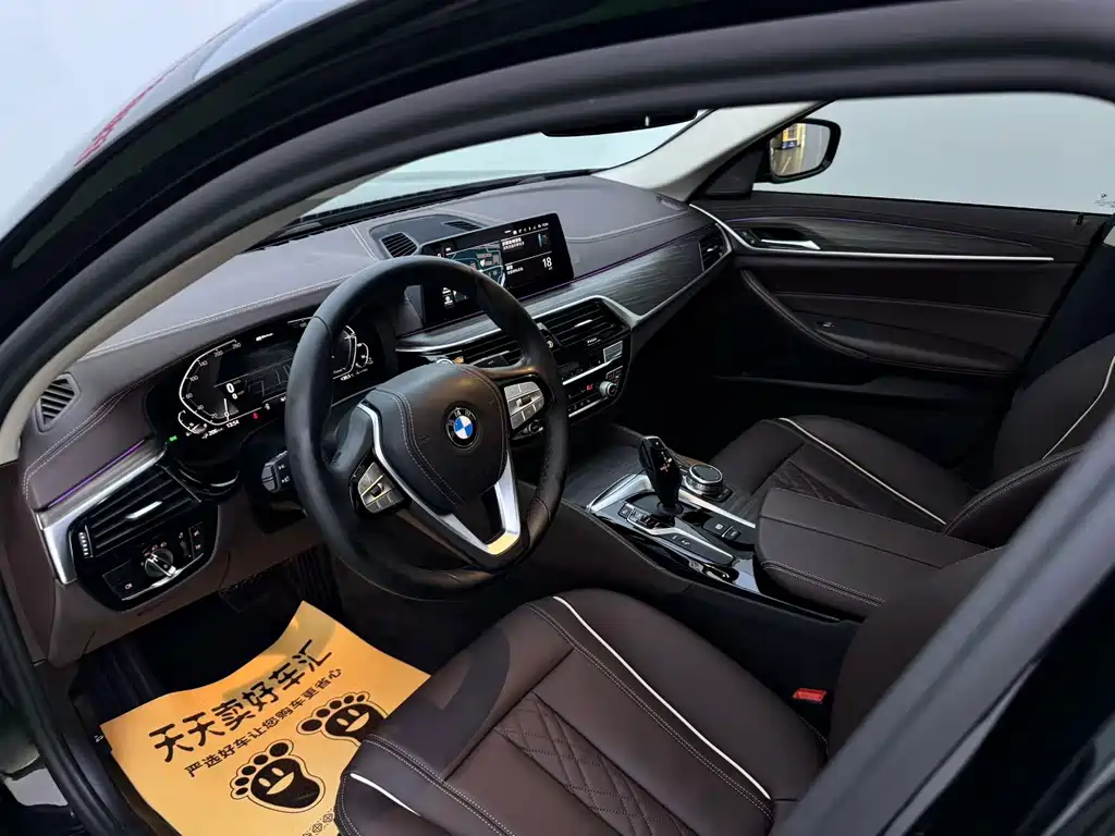 BMW 5 Series New Energy — миниатюра 4
