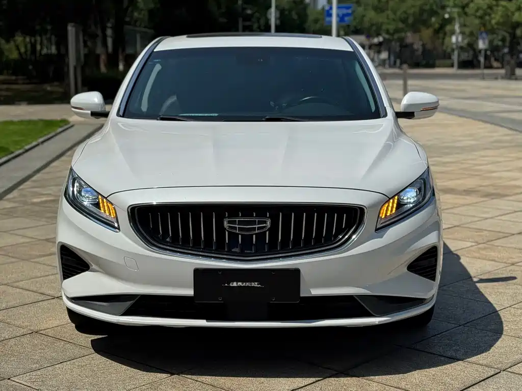 Geely Borui — миниатюра 2