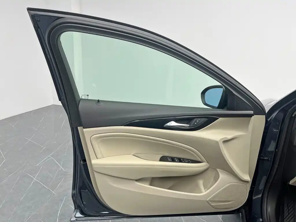 Buick Regal — миниатюра 13