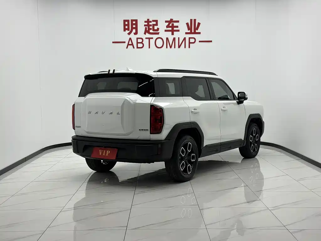 Haval Cool Dog — миниатюра 8