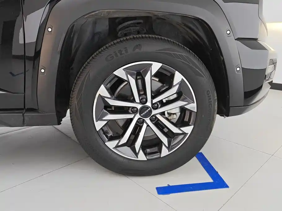 Haval Big Dog PLUS — миниатюра 6