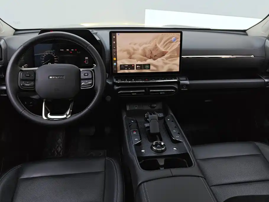 Haval Big Dog PLUS — миниатюра 12