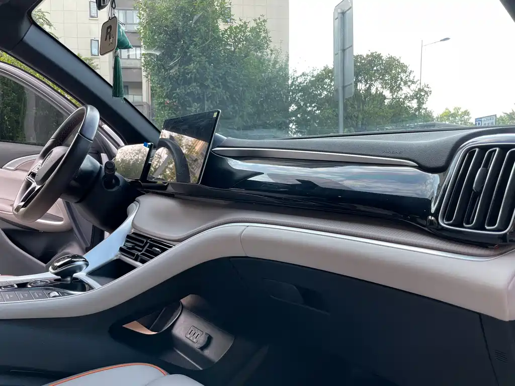 BYD Pro New Energy — миниатюра 15