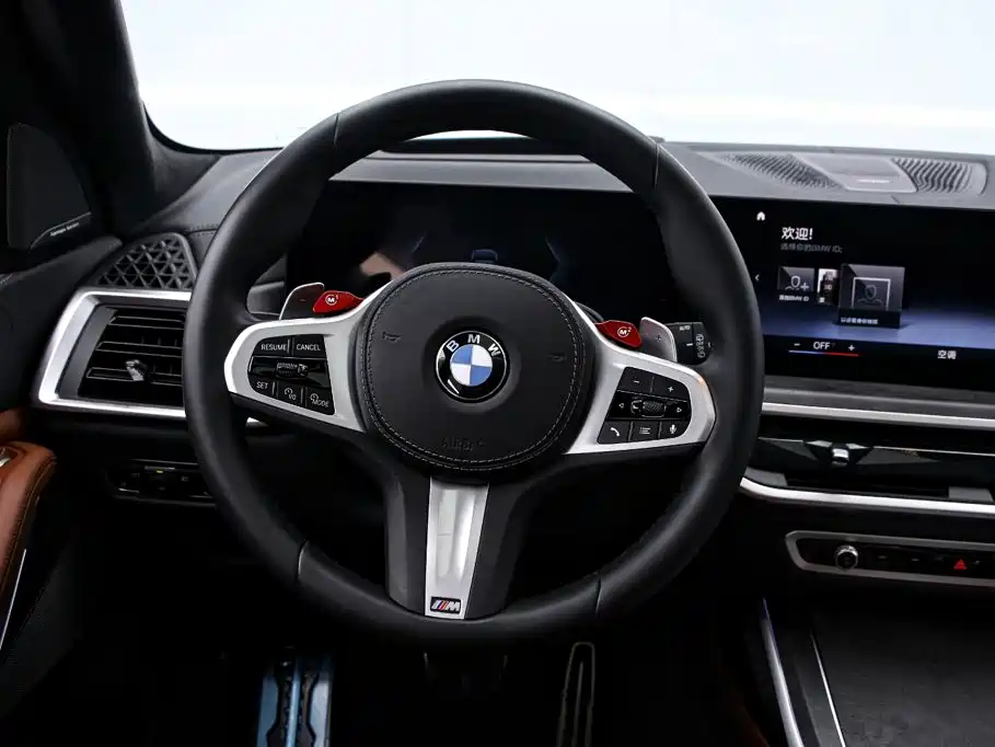 BMW X7 — миниатюра 7