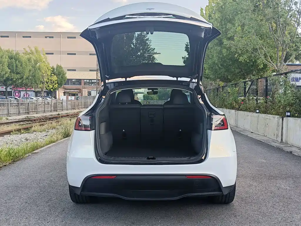 Tesla Model Y — миниатюра 9