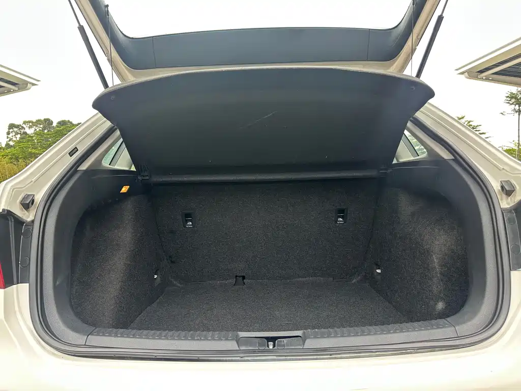 Volkswagen Gran Lavida — миниатюра 2