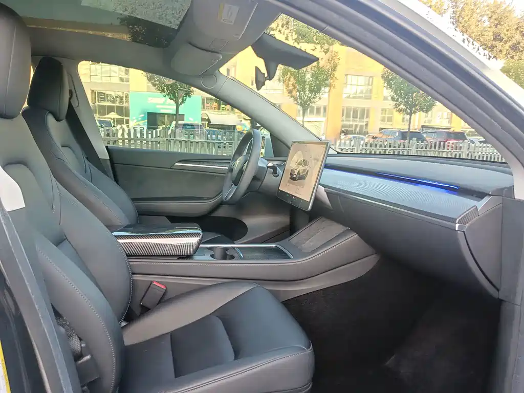 Tesla Model Y — миниатюра 22