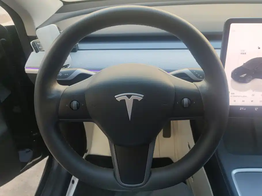 Tesla Model Y — миниатюра 15