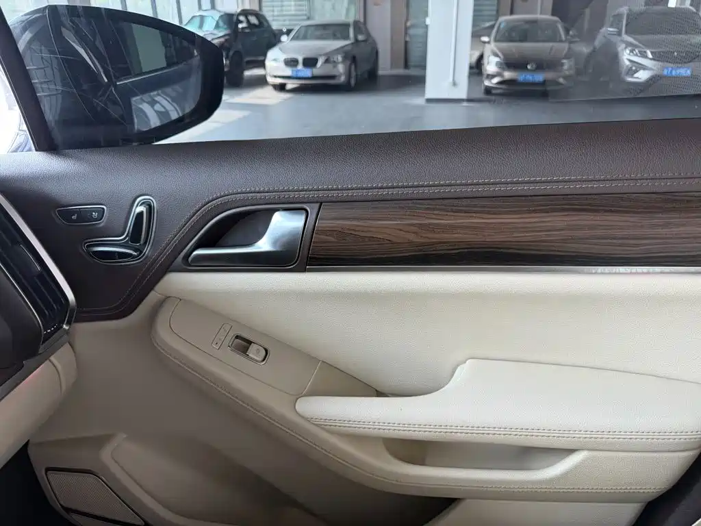 BYD Tang New Energy — миниатюра 23