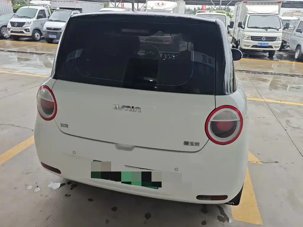 Qiyuan Lumin — миниатюра 4