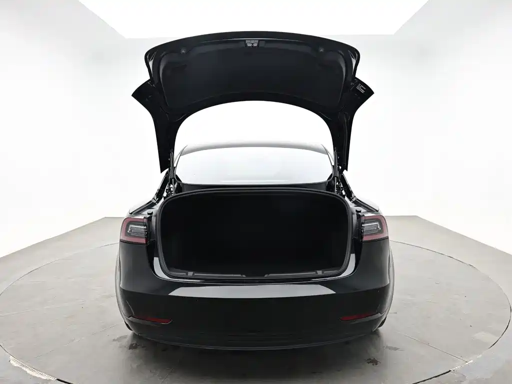 Tesla Model 3 — миниатюра 8