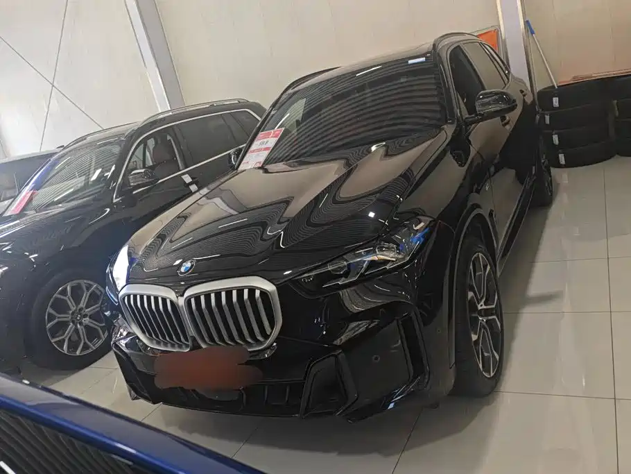 BMW X5 — миниатюра 2