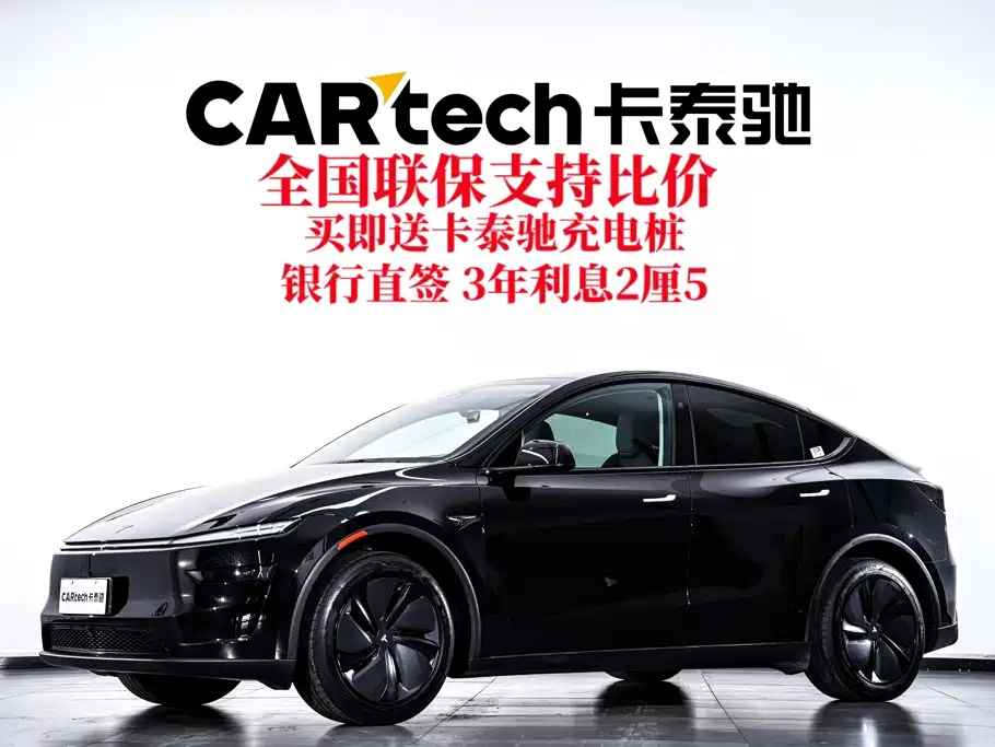Tesla Model Y — миниатюра 2