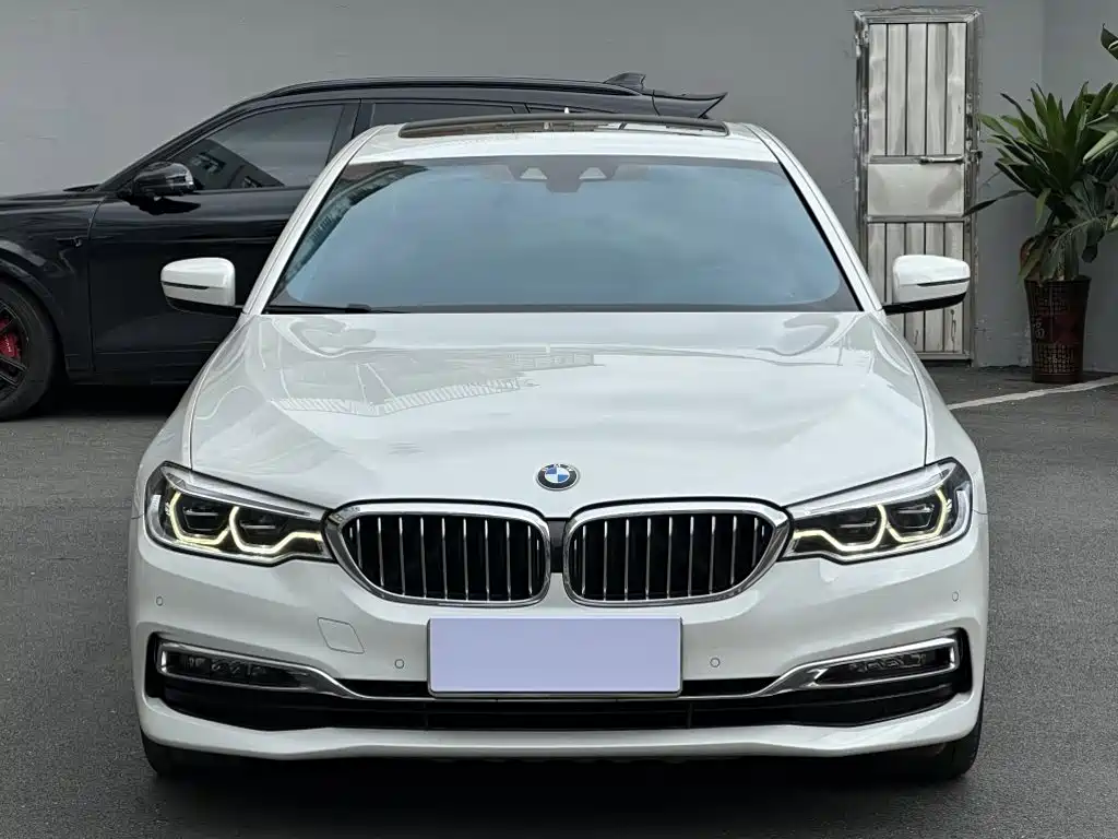 BMW 5 Series New Energy — миниатюра 2