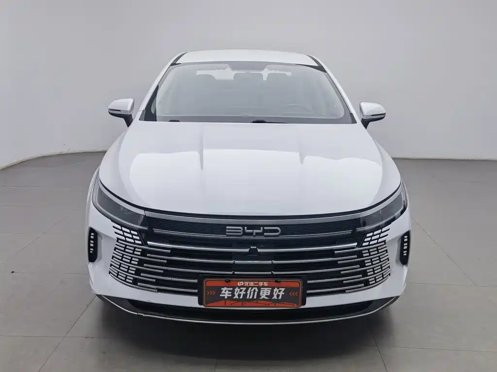 BYD Destroyer 05 — миниатюра 3