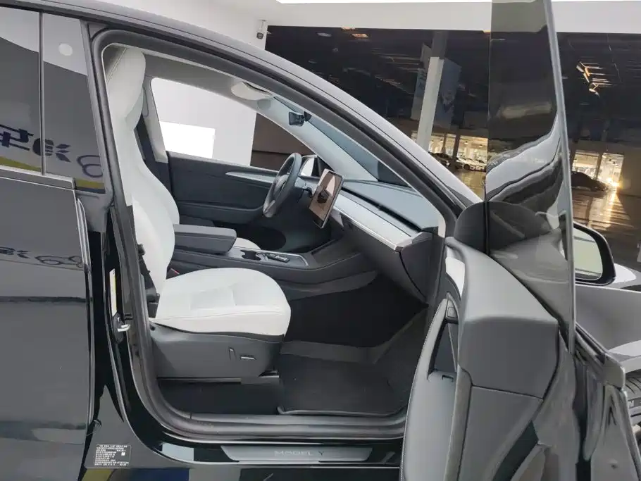 Tesla Model Y — миниатюра 8