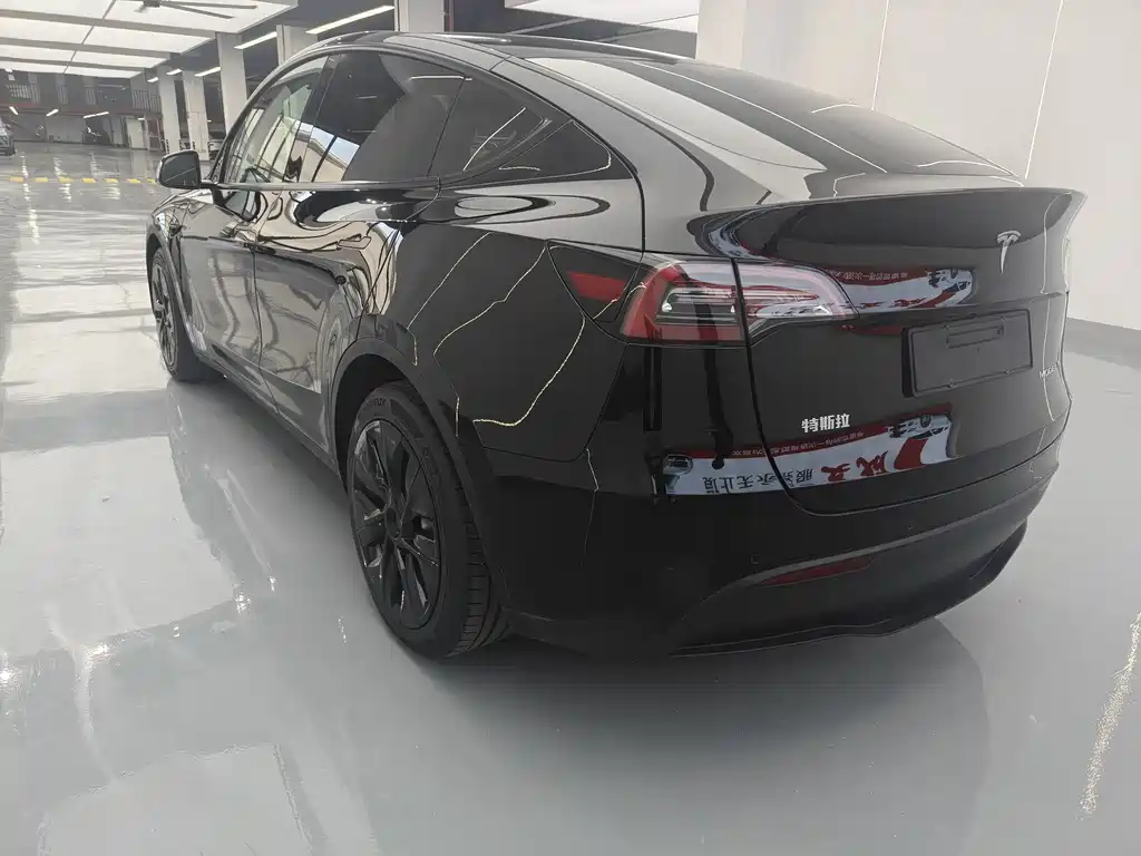 Tesla Model Y — миниатюра 7