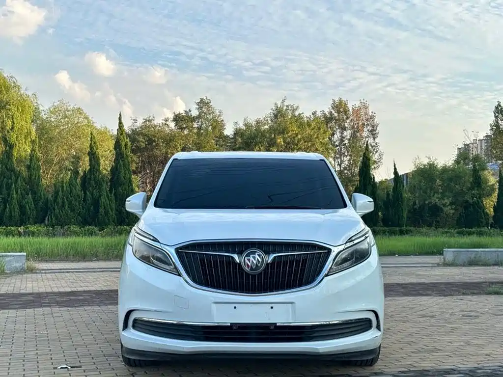 Buick GL8 — миниатюра 2