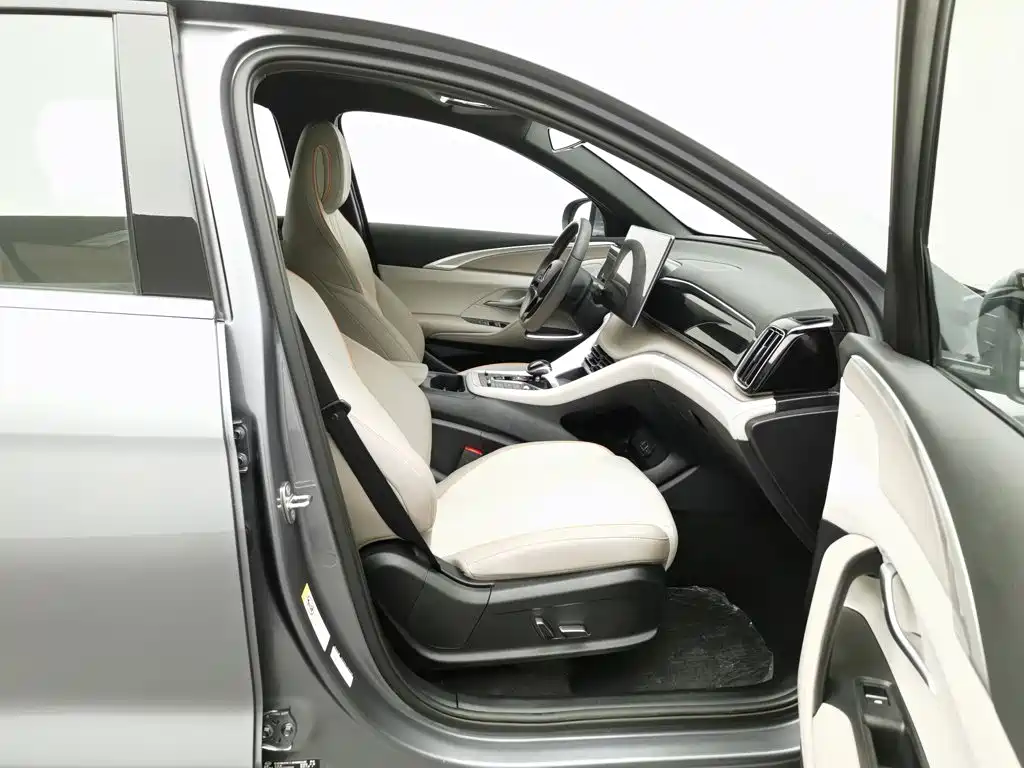BYD Pro New Energy — миниатюра 23