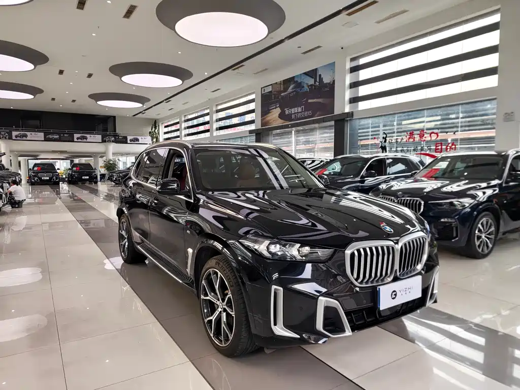 BMW X5 — миниатюра 3