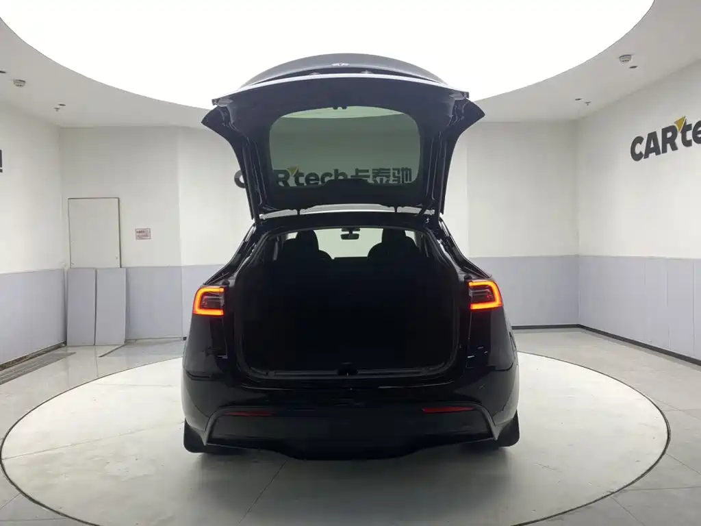 Tesla Model Y — миниатюра 29