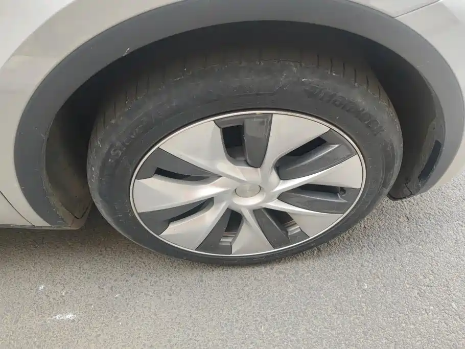 Tesla Model Y — миниатюра 6