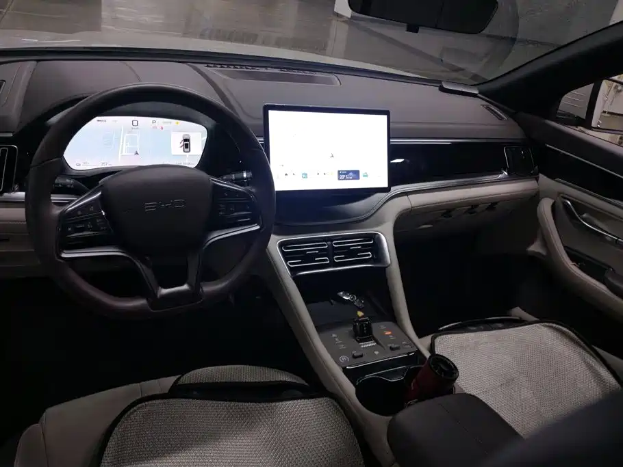 BYD PLUS New Energy — миниатюра 12