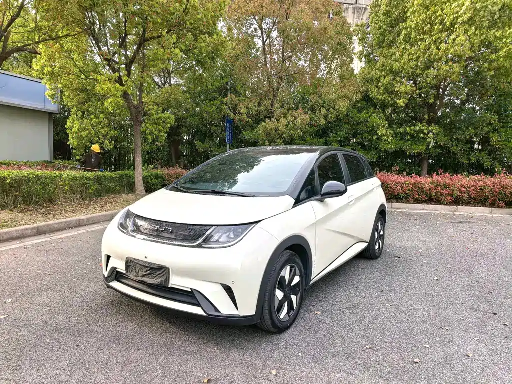 Byd Dolphin 2024