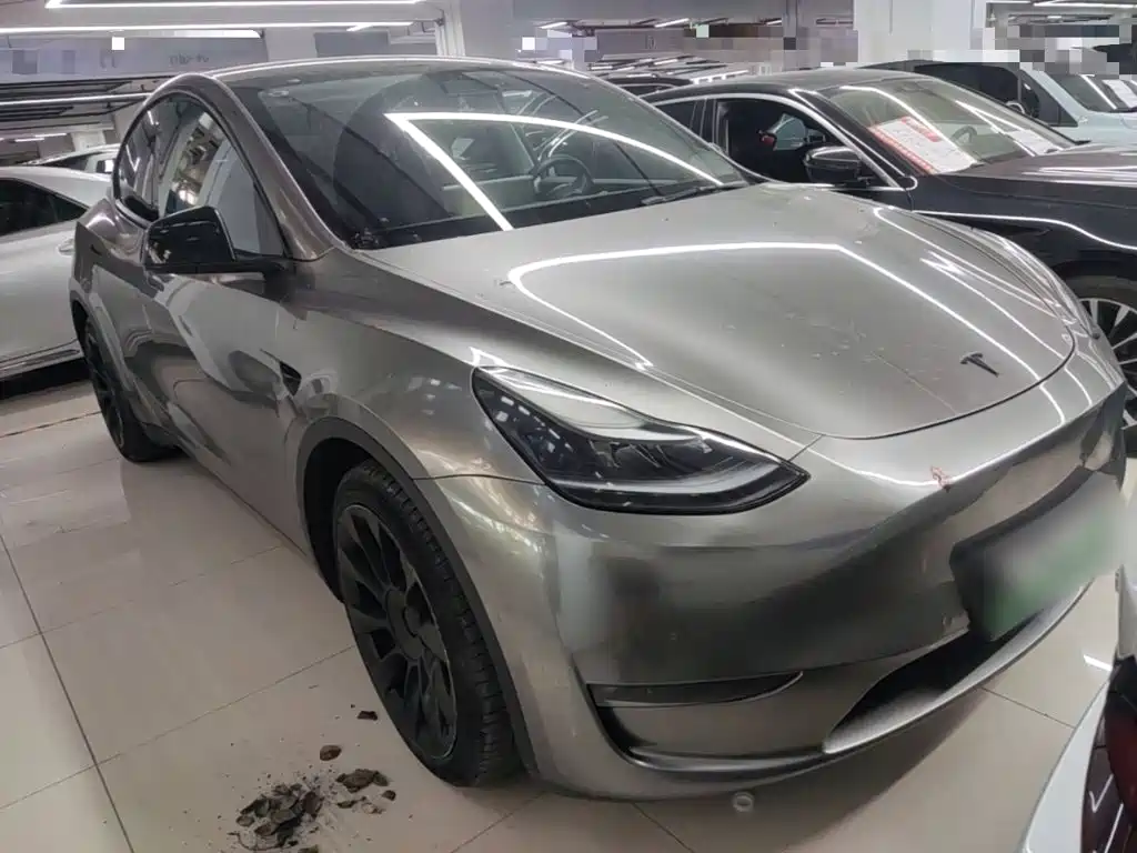 Tesla Model Y — миниатюра 4