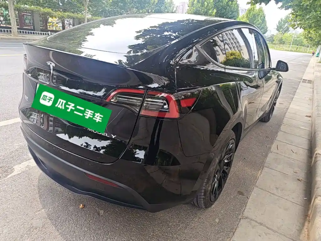 Tesla Model Y — миниатюра 7