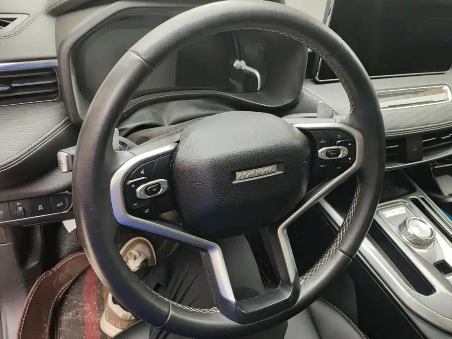 Haval Chulian — миниатюра 15