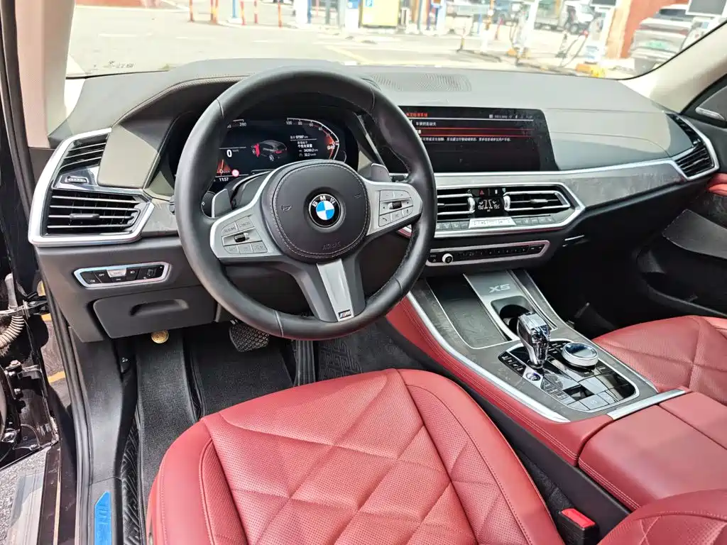 BMW X5 — миниатюра 12