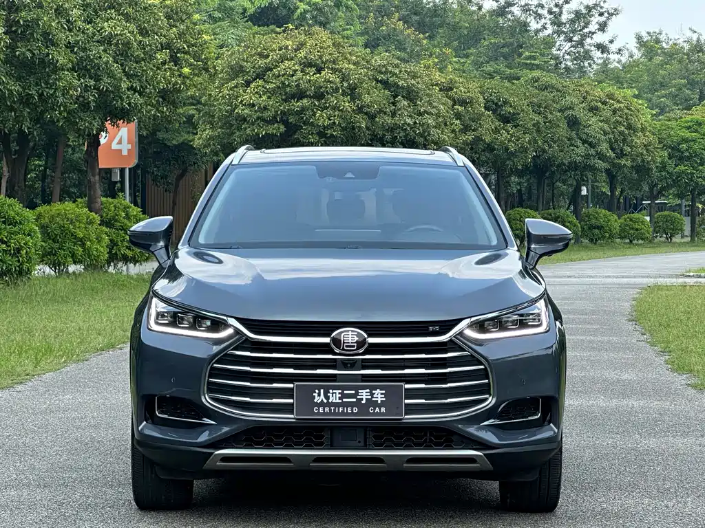 BYD Tang — миниатюра 2