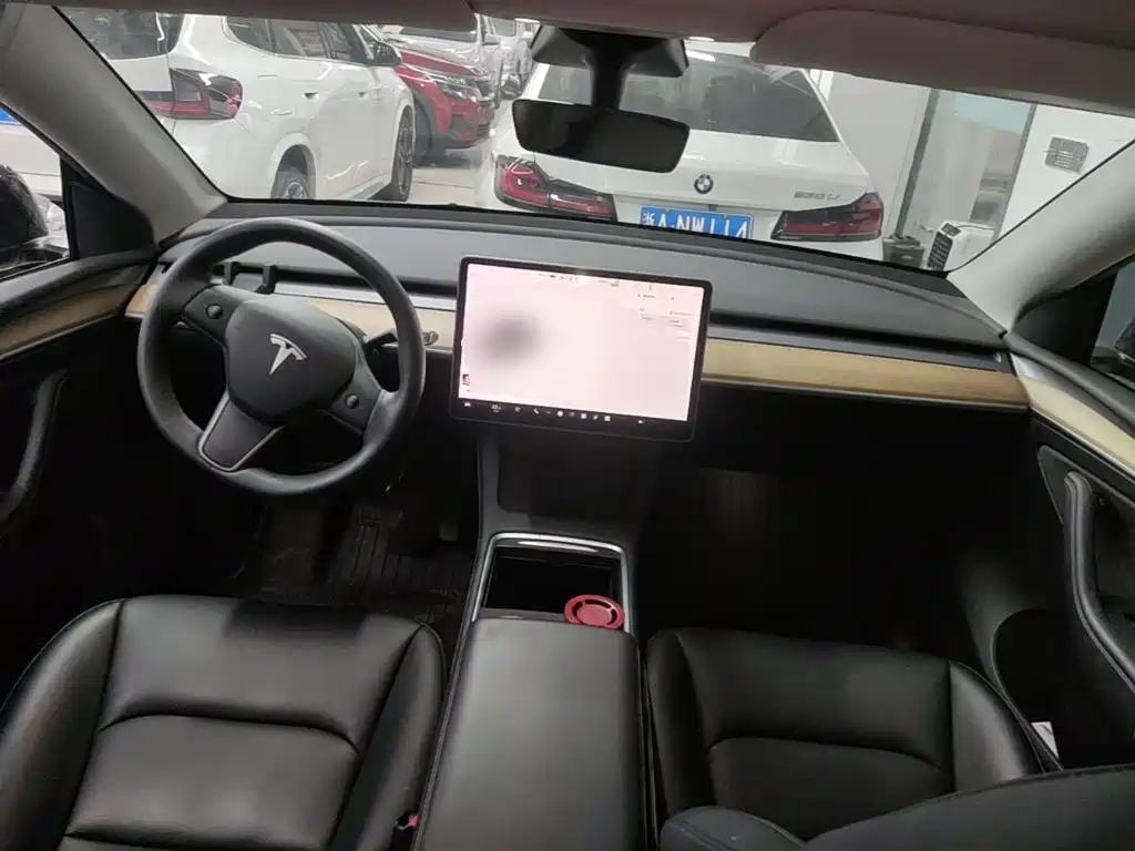 Tesla Model Y — миниатюра 10