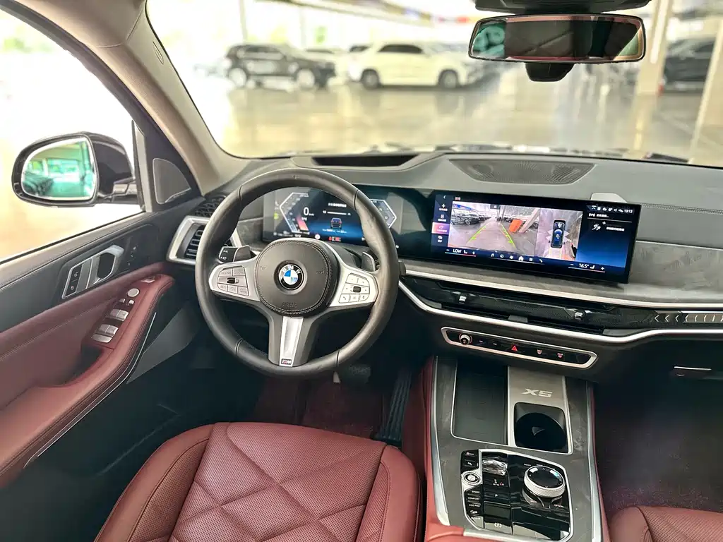 BMW X5 — миниатюра 8