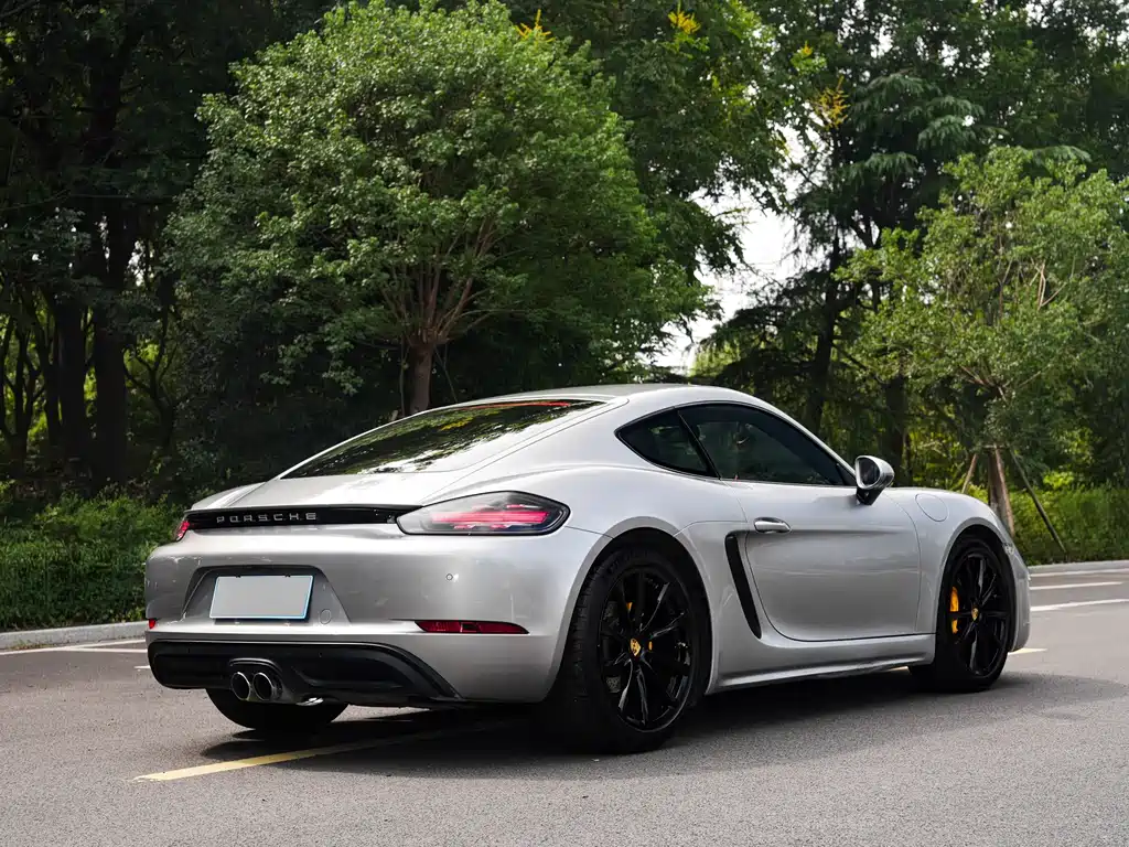 PORSCHE  718