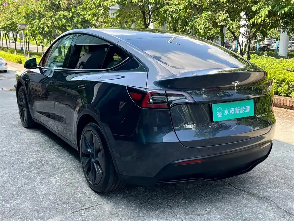 Tesla Model Y — миниатюра 6