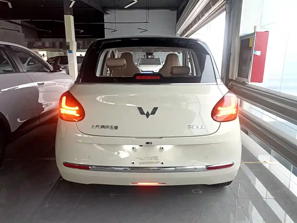 Wuling Binguo 2025 333km