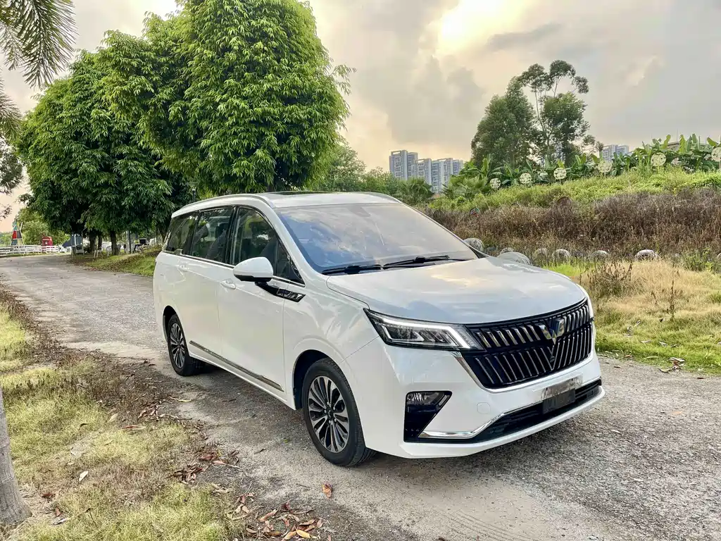 Wuling Jiachen — миниатюра 3