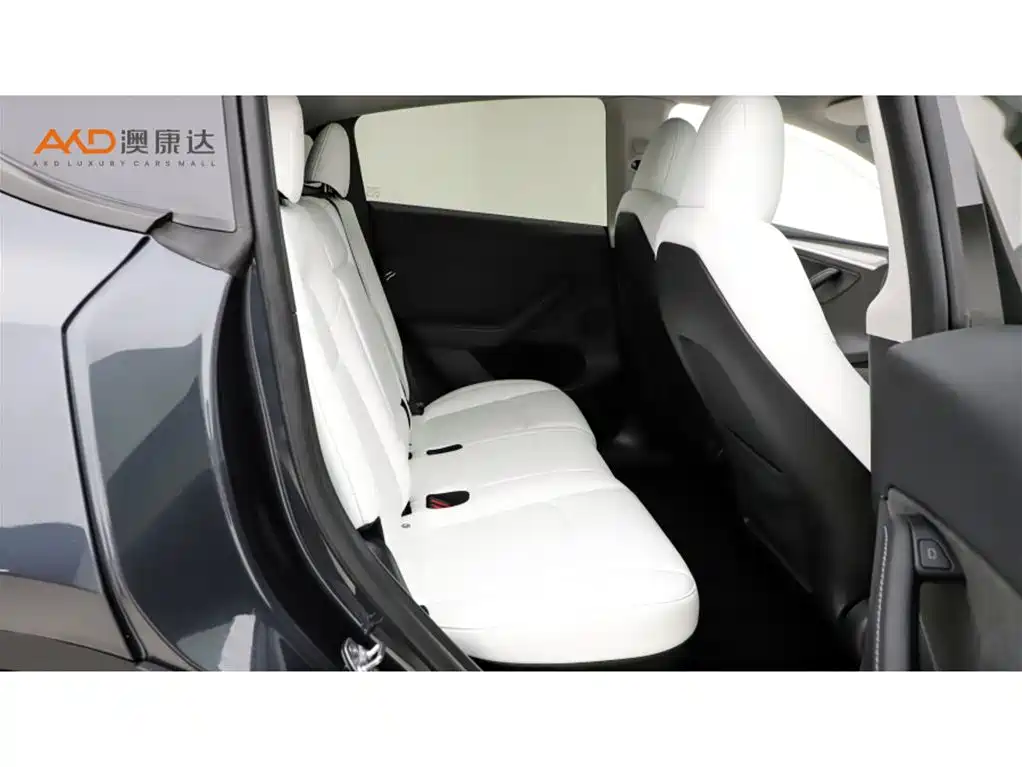 Tesla Model Y — миниатюра 8