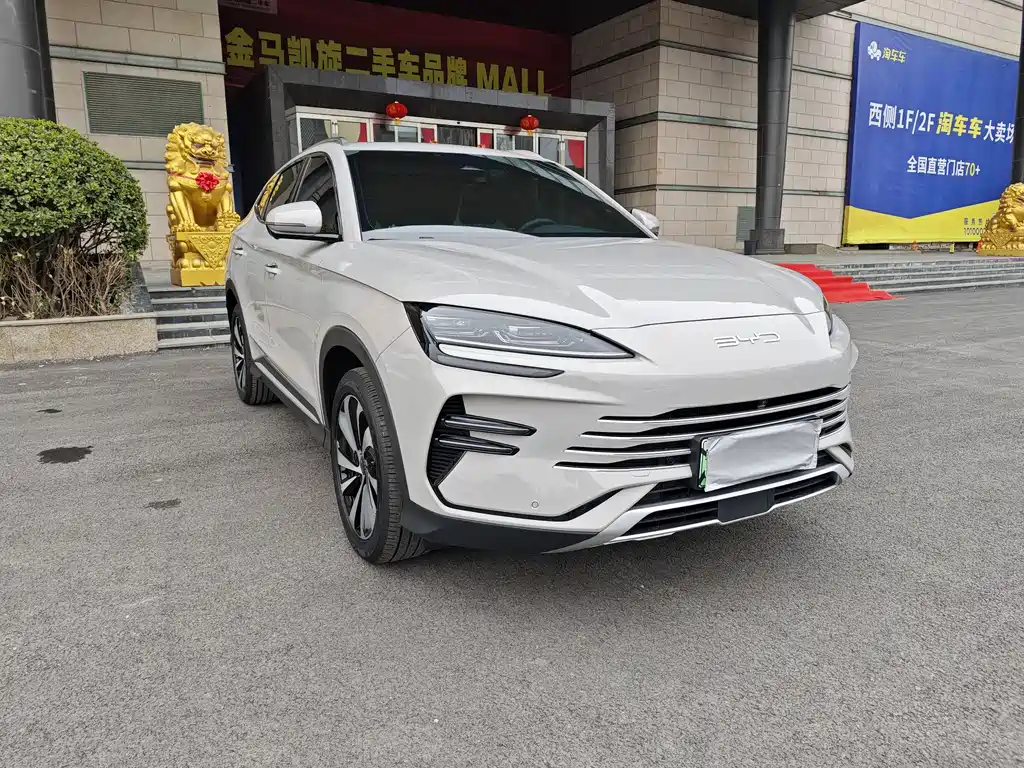 BYD SONGJIANG NEW ENERGY